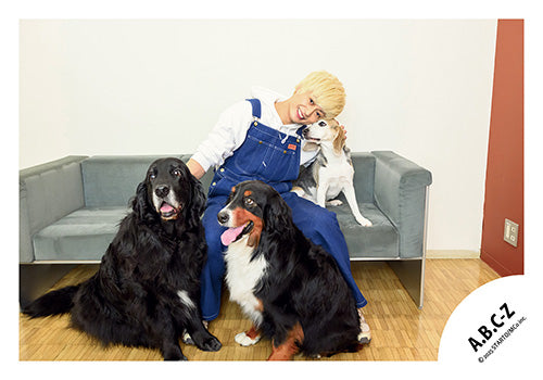 【No.ABC25-169】A.B.C-Z Favorite goods原創照片