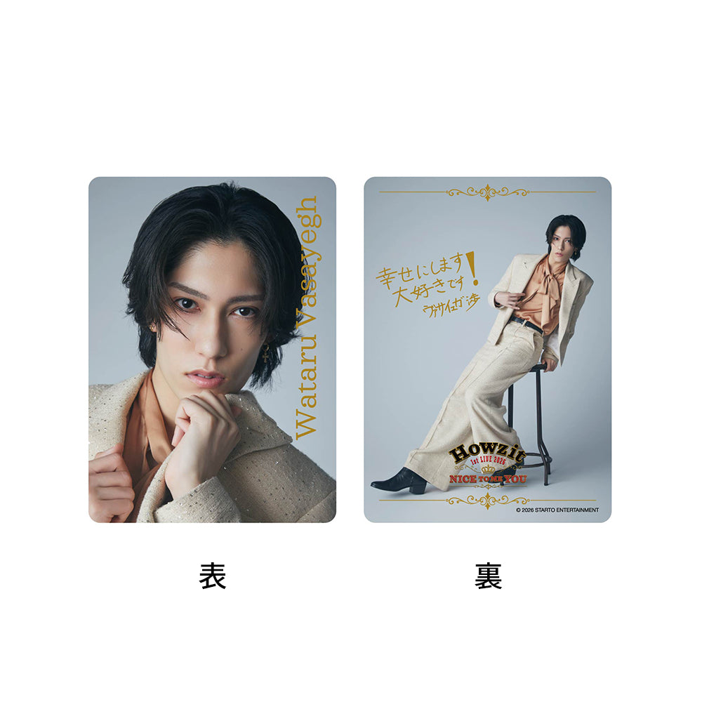 髮夾與小卡組 VASAYEGH渉ver.