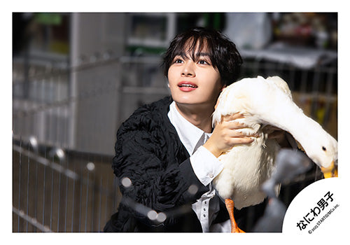 【No.ND25-767】單曲「Asmmetry / Black Nightmare」MV&封面花絮照