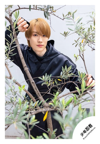 【No.SNN25-264】「少年忍者 LIVE 2025 This is 忍者」周邊商品花絮照