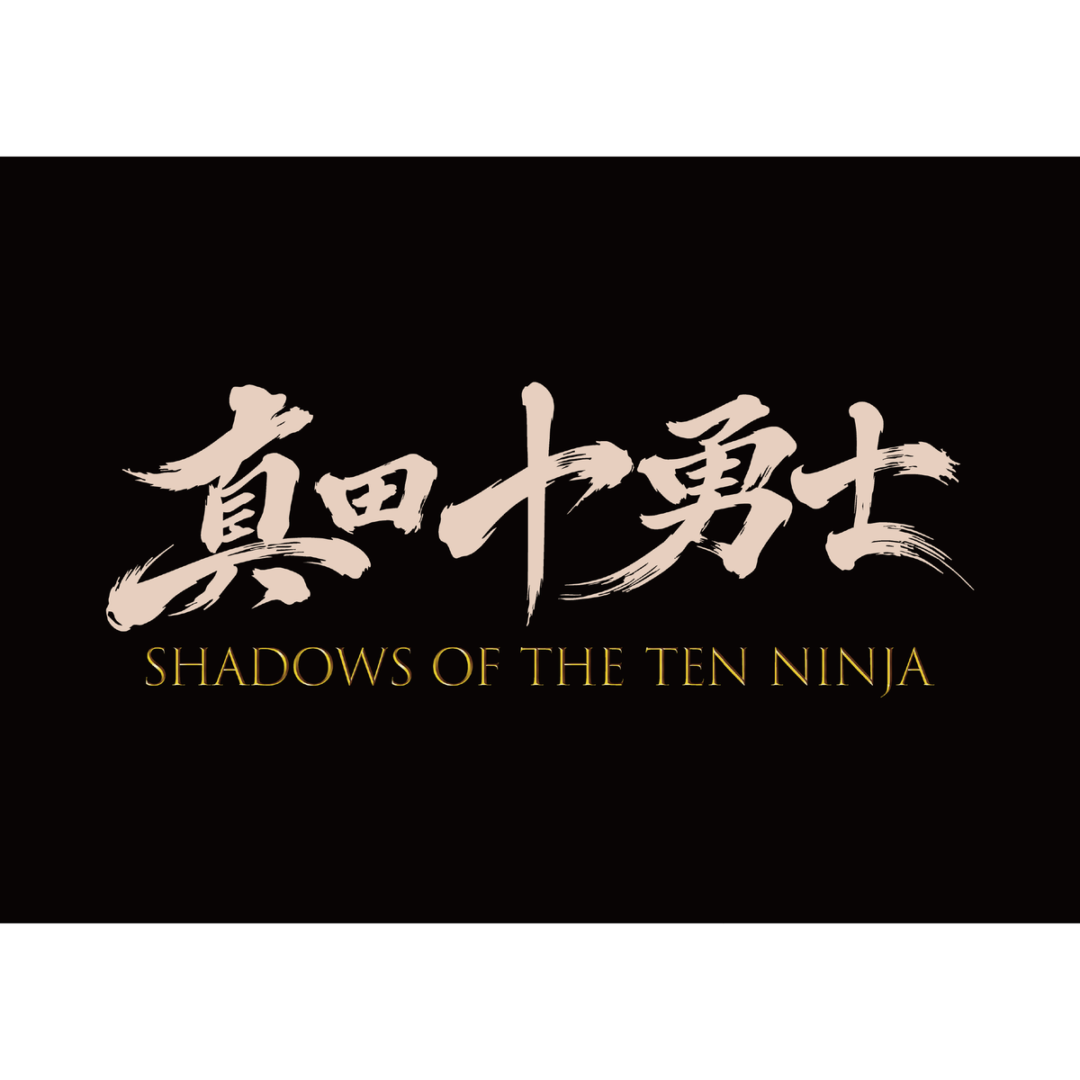 真田十勇士 SHADOWS OF THE TEN NINJA