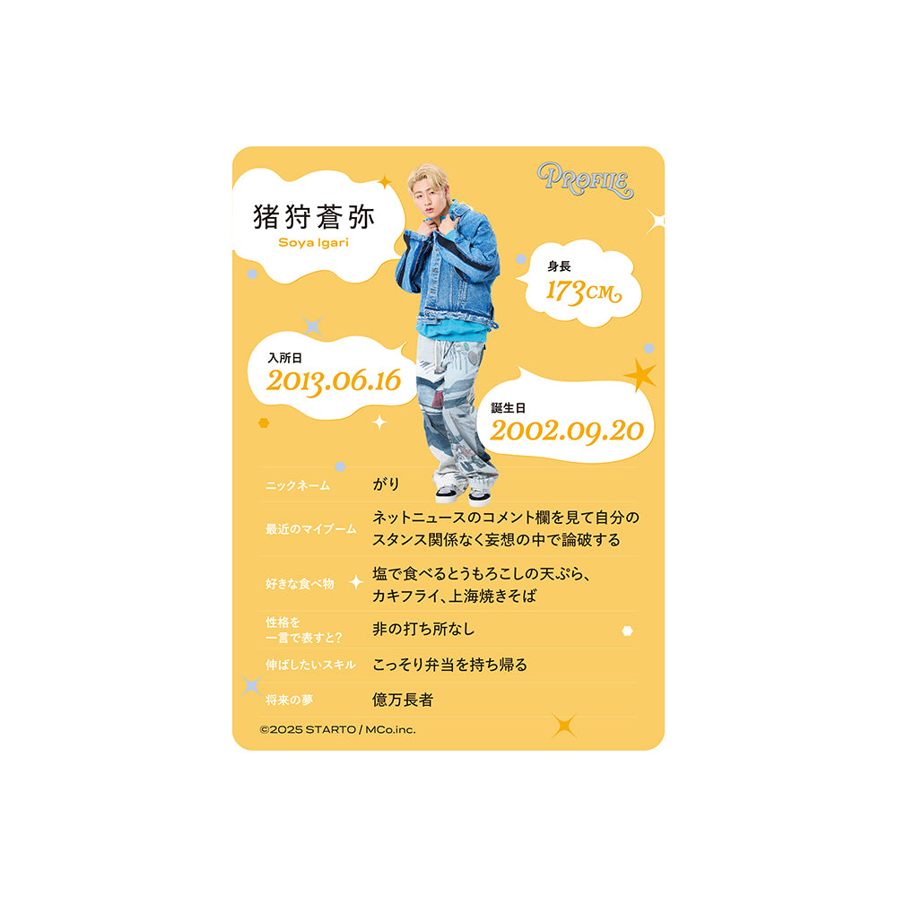 個人資料卡 猪狩蒼彌ver.