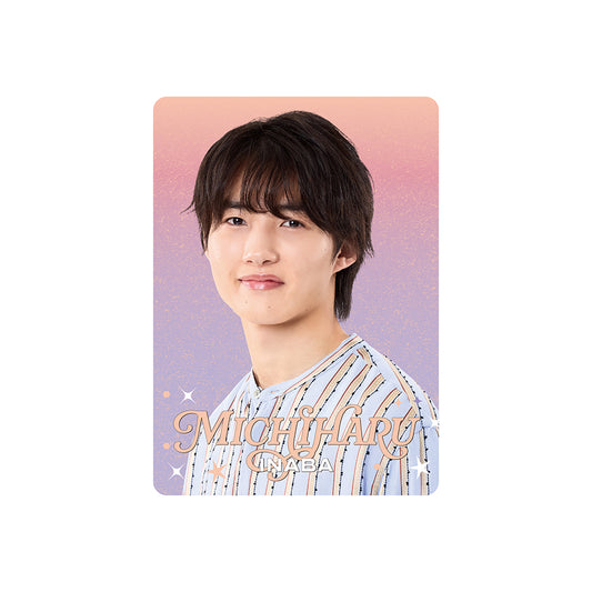 個人資料卡 稻葉通陽ver.