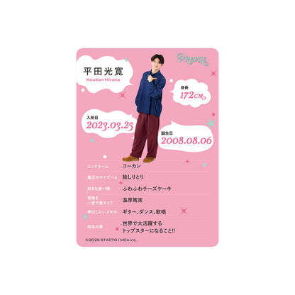 個人資料卡 平田光寛ver.