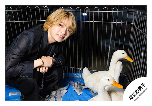 【No.ND25-733】單曲「Asmmetry / Black Nightmare」MV&封面花絮照